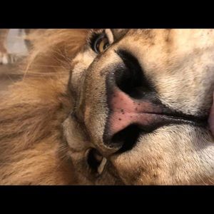 Meet your Posher, Wyatt